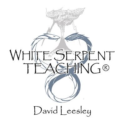 White Serpent Teachings - David Leesley